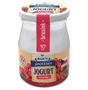 Jihočeský jogurt brusnica min._2,5% 200_g